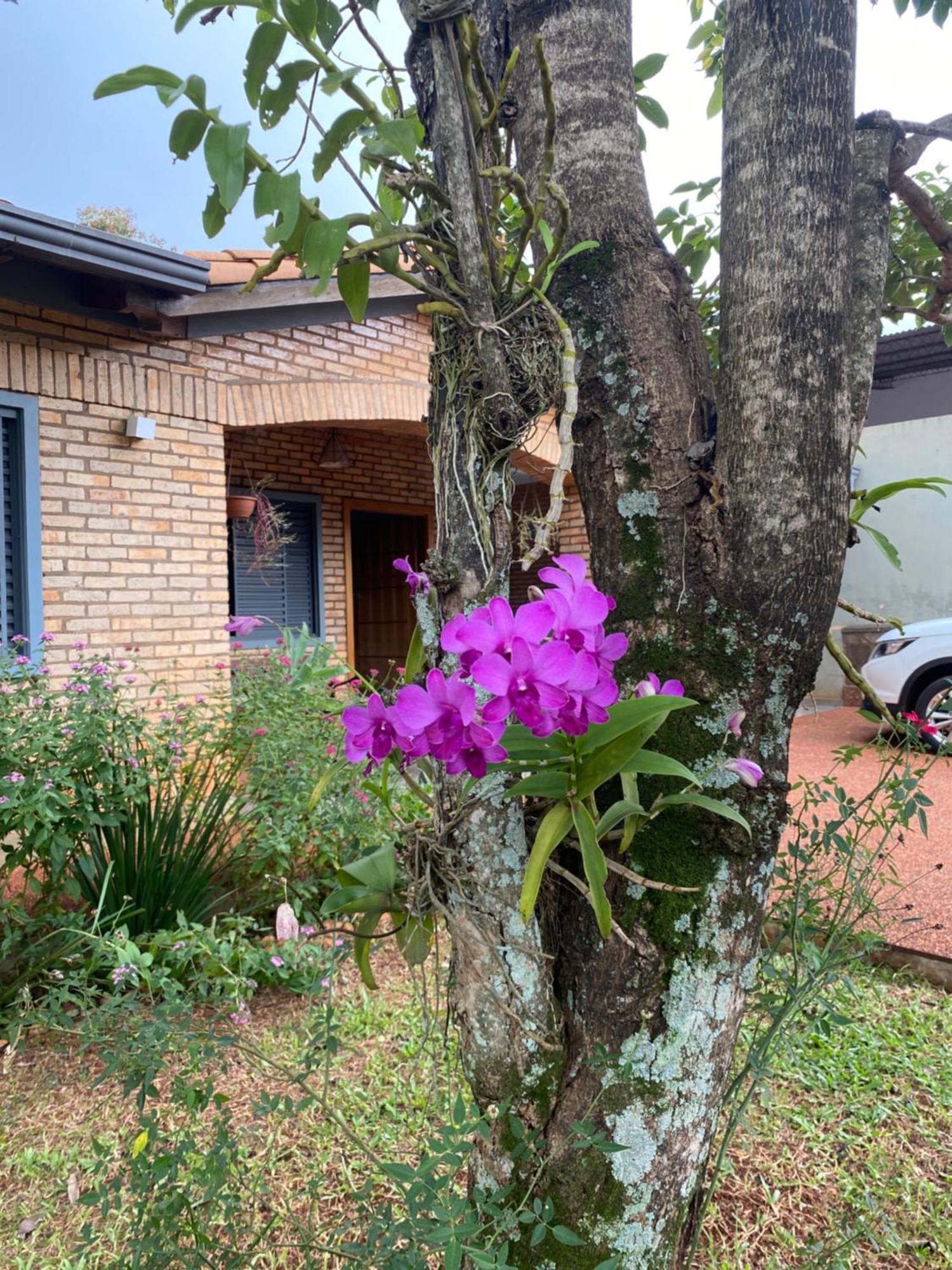 Moderna Y Unica Casa Independiente Con Jardin Y Estacionamiento Ciudad del Este Kültér fotó